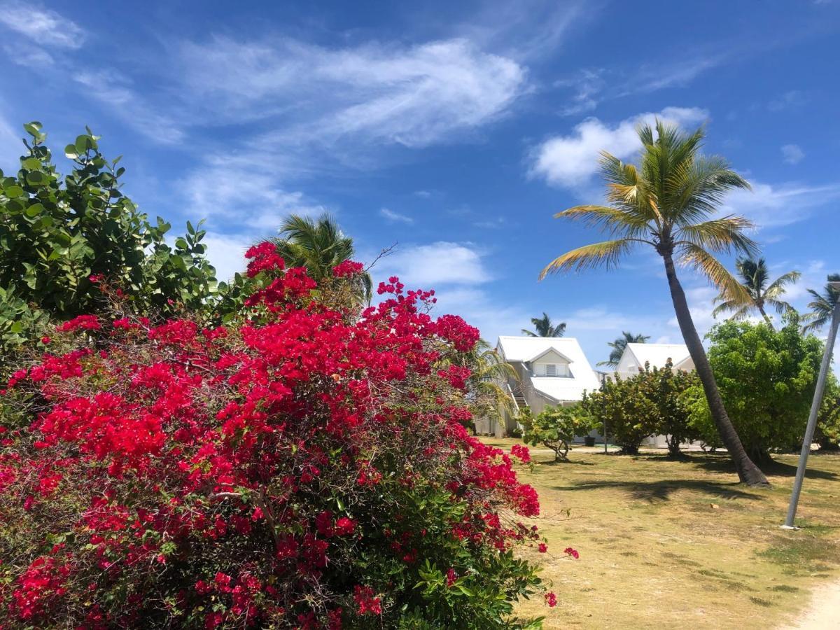 Sweet Home Sxm Baie Nettle Pieds Dans L'Eau Sandy Ground ภายนอก รูปภาพ